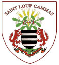 Blason de Saint-Loup-Cammas